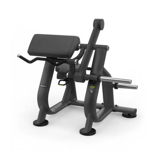 Intenza Zone Line Biceps Curl