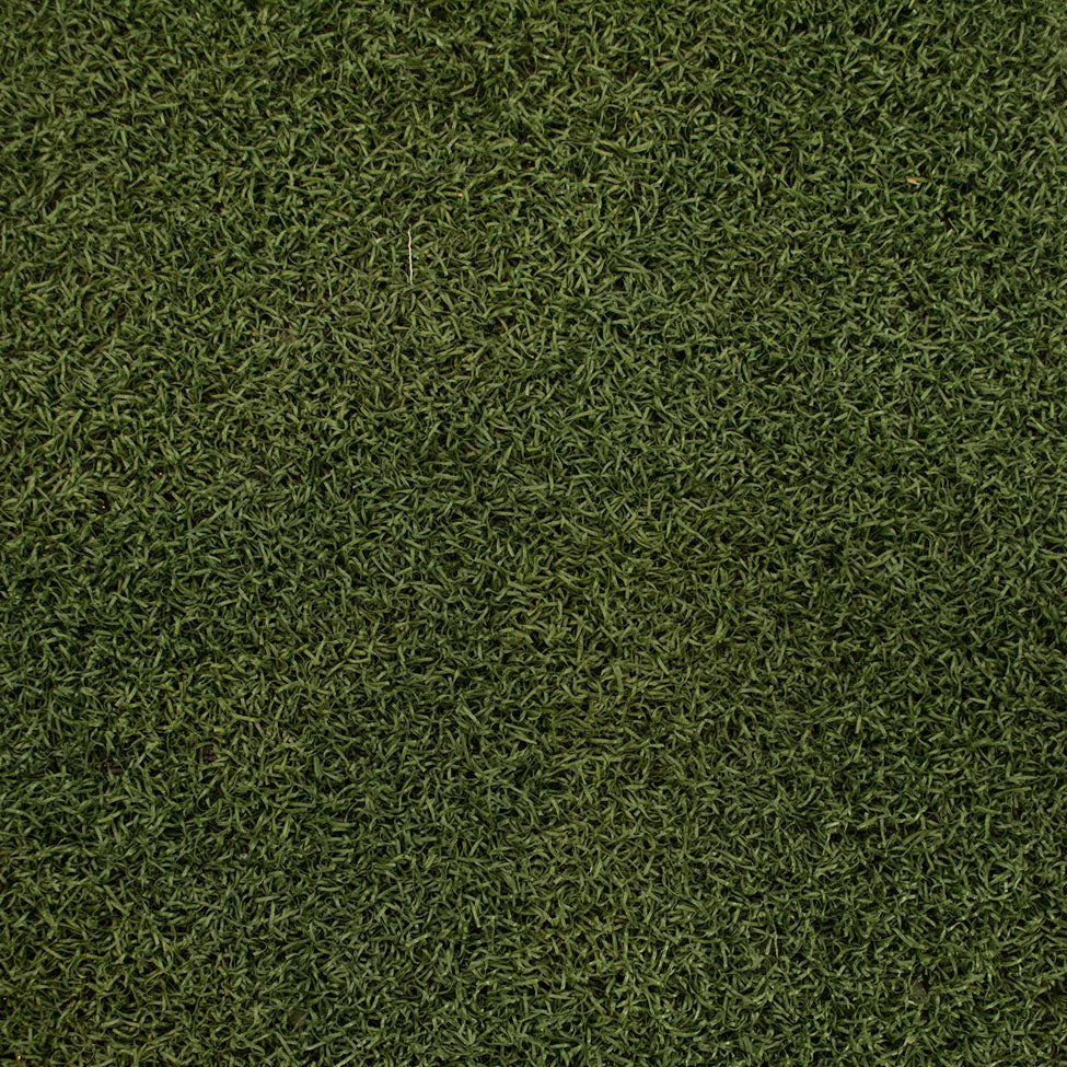 Flooring Sports Grass