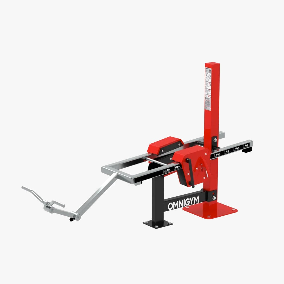 Omnigym Biceps Curl