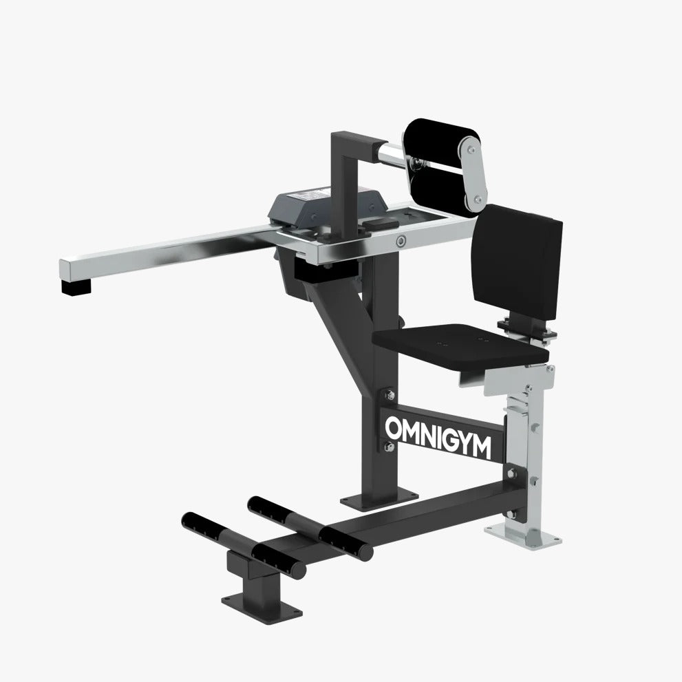 Omnigym Seated Back Extension