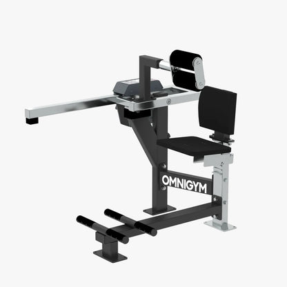 Omnigym Seated Back Extension