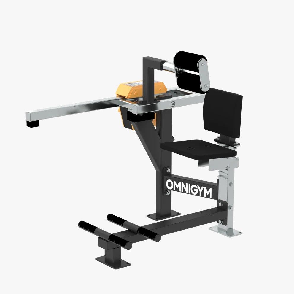 Omnigym Seated Back Extension