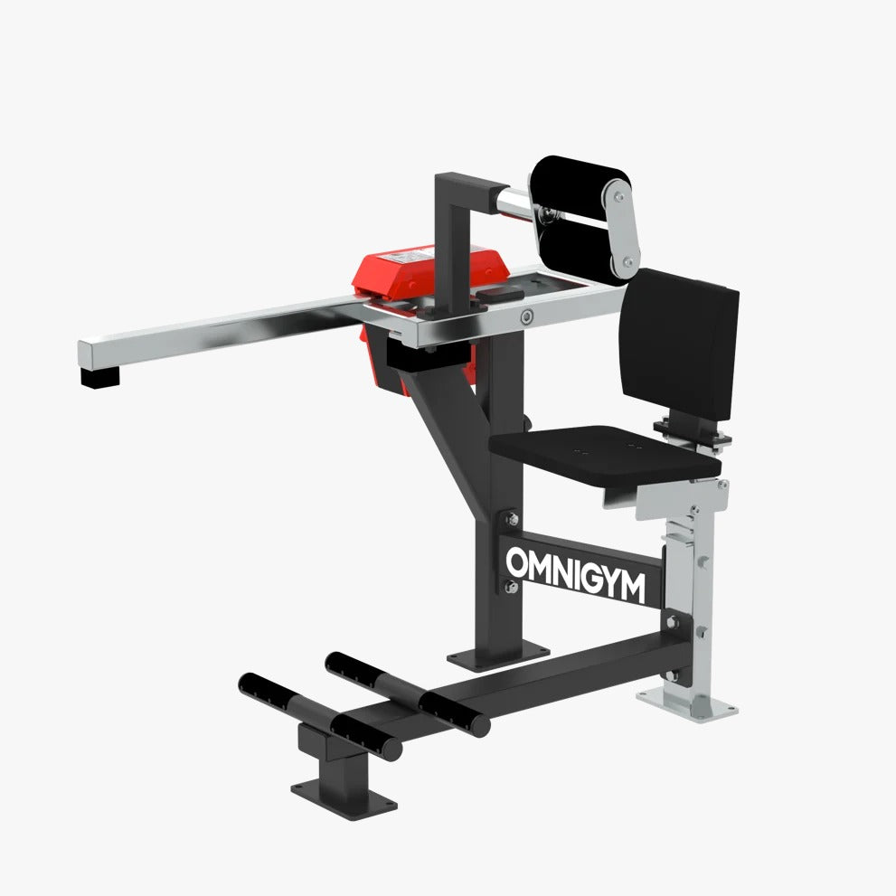 Omnigym Seated Back Extension