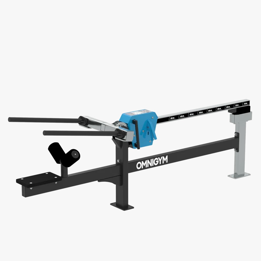 Omnigym Seated Dip