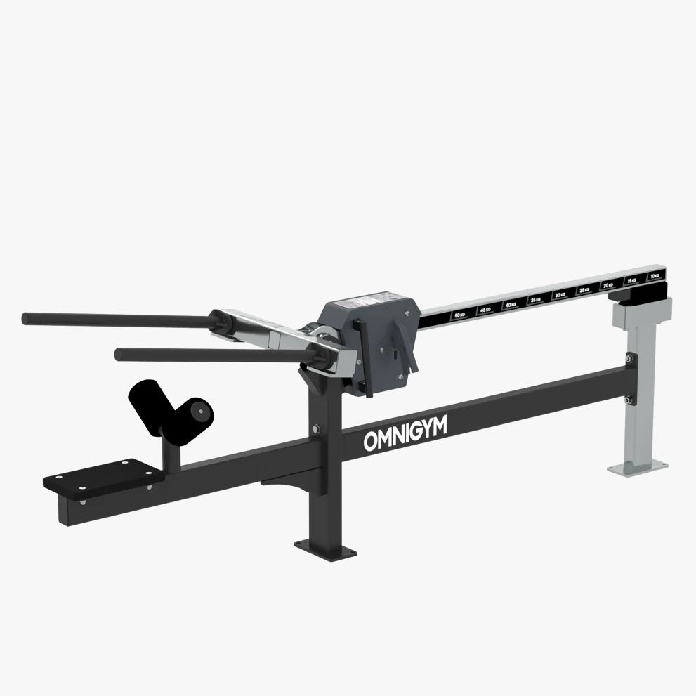 Omnigym Seated Dip