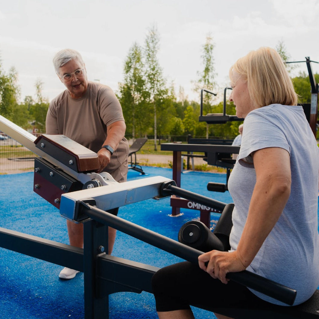 Omnigym Seated Dip