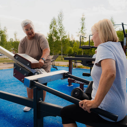 Omnigym Seated Dip
