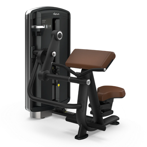 Intenza Design Line Biceps Curl