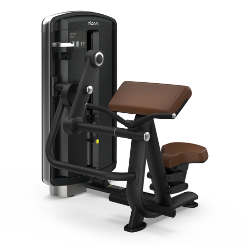 Intenza Design Line Biceps Curl