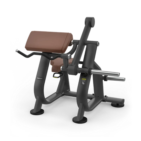 Intenza Zone Line Biceps Curl