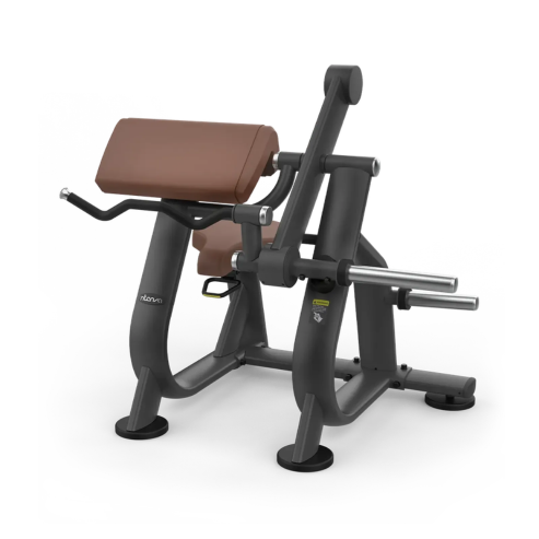 Intenza Zone Line Biceps Curl