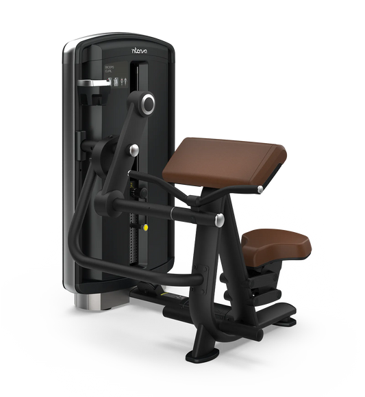Intenza Design Line Biceps Curl