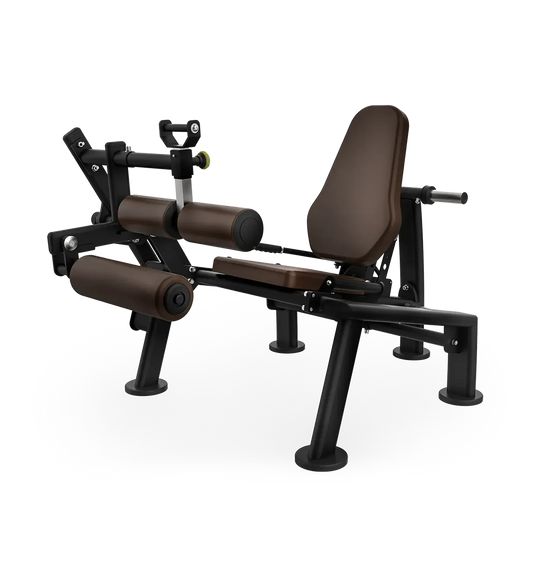 Intenza Zone Line Seated Leg Curl