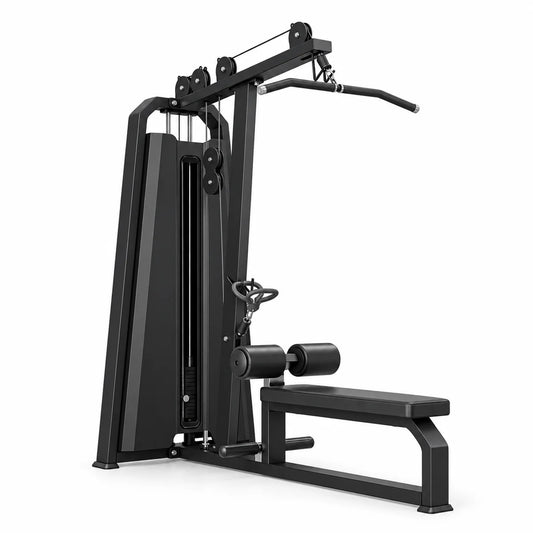Lat Pulldown / Low Row Dual