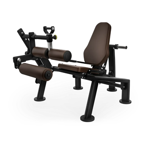Intenza Zone Line Seated Leg Curl
