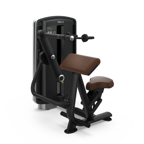 Intenza Design Line Triceps Extension