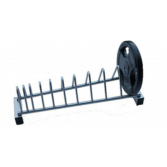 Gym plates storage rack that keeps the weights tidy and easy to find.